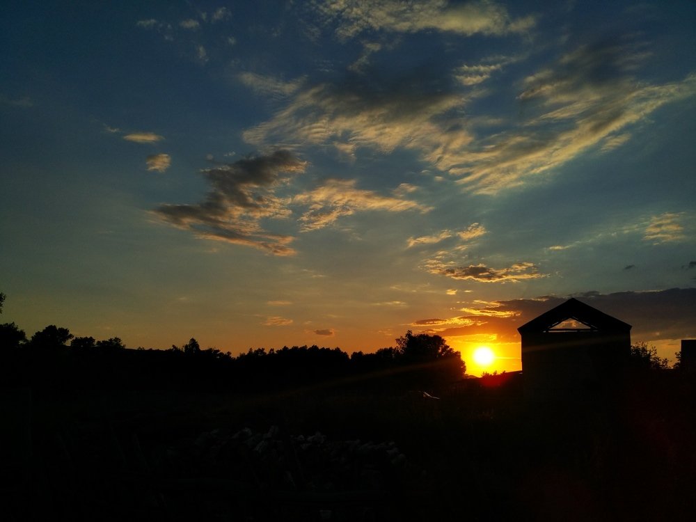 Photograph by Евгения Базарова