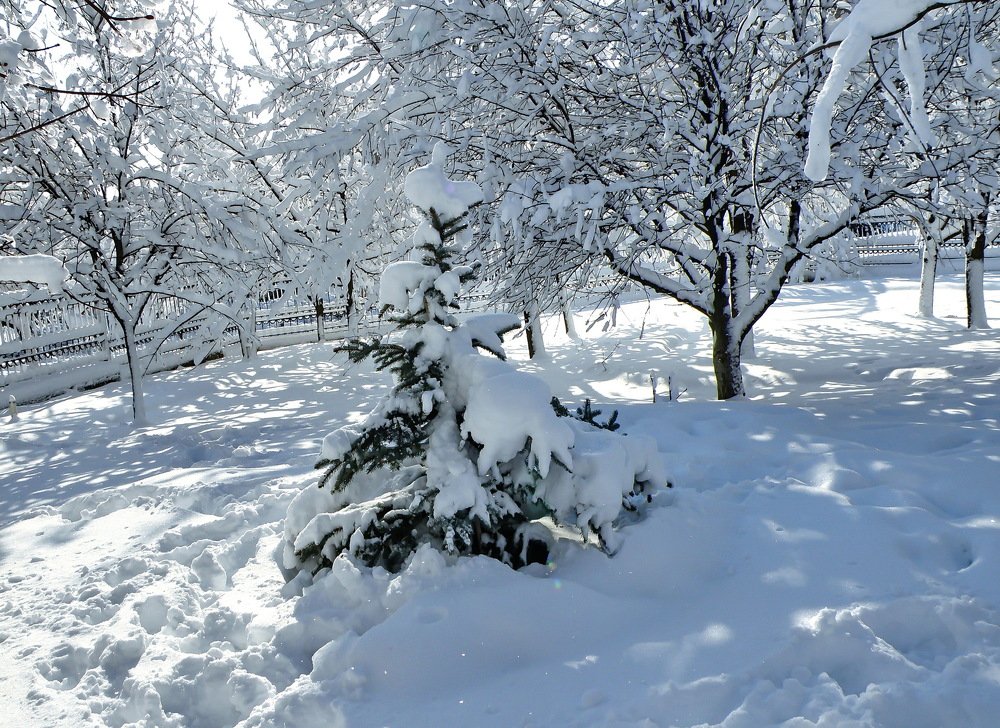 Photograph by Валерий