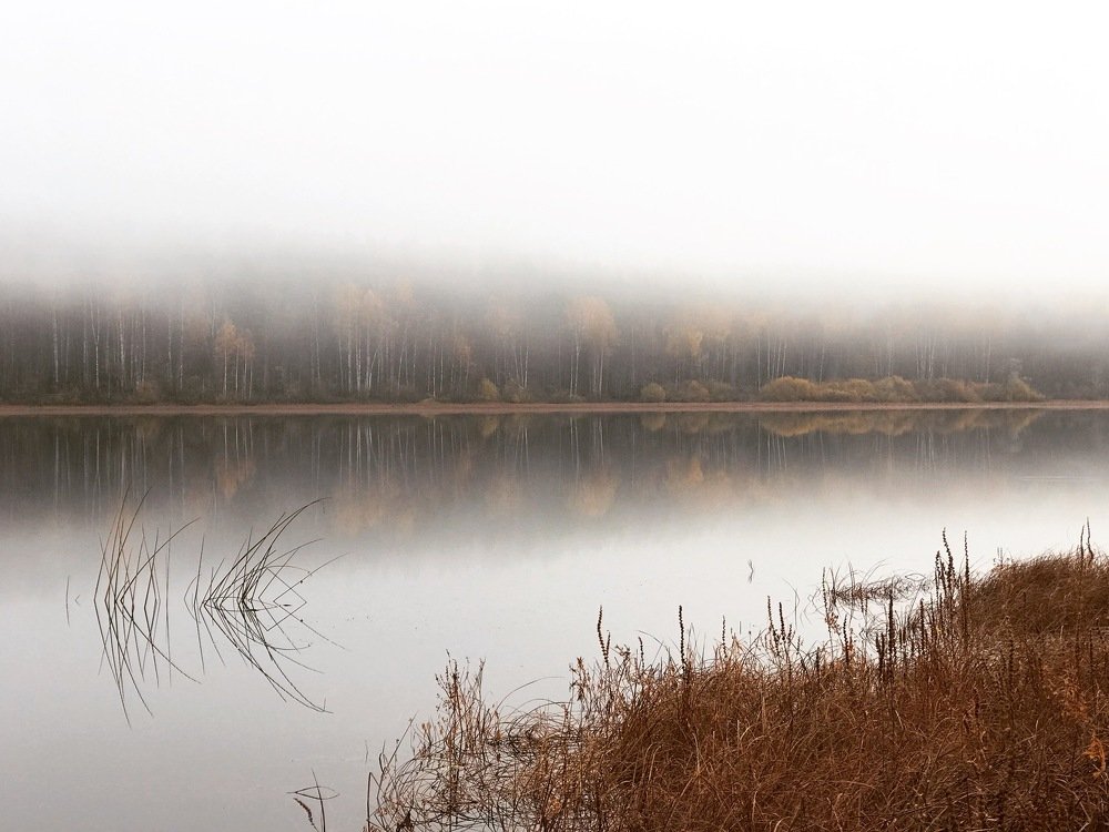 Осенние сны