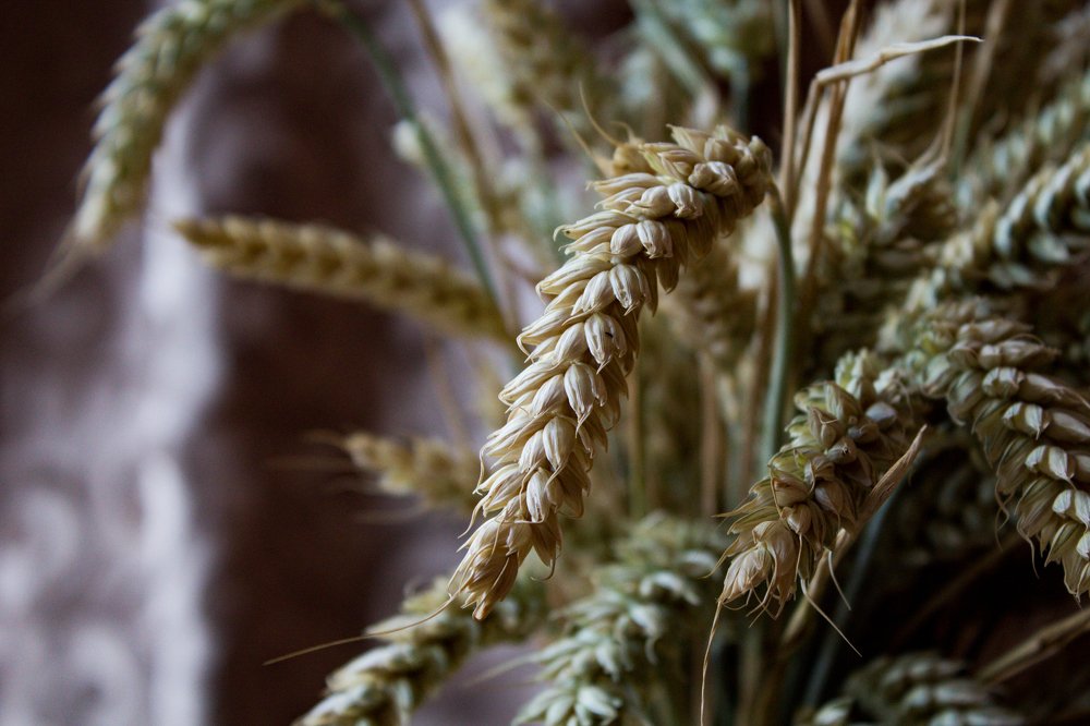 Photograph by Yana Kutateladze