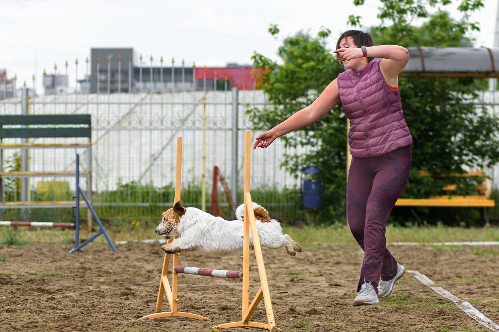 Покорение высоты