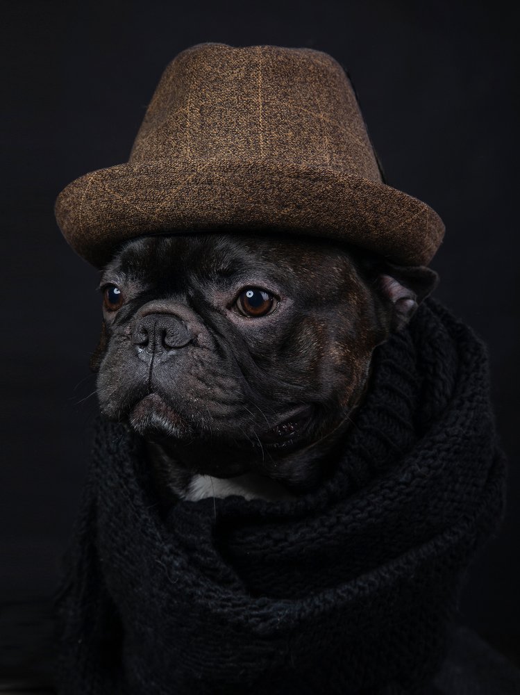 Photograph by Алла Чернова