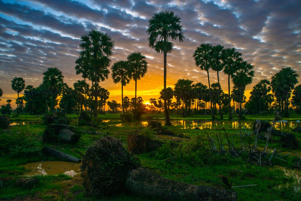 Photograph by Chanthol SOTH