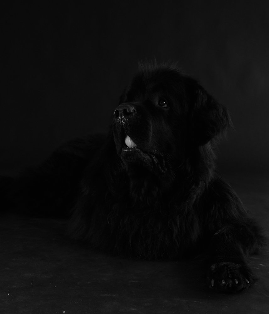 Photograph by Дмитрий Селинский