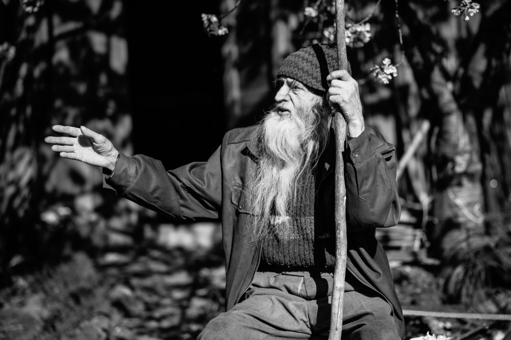 Photograph by Алла Молодид