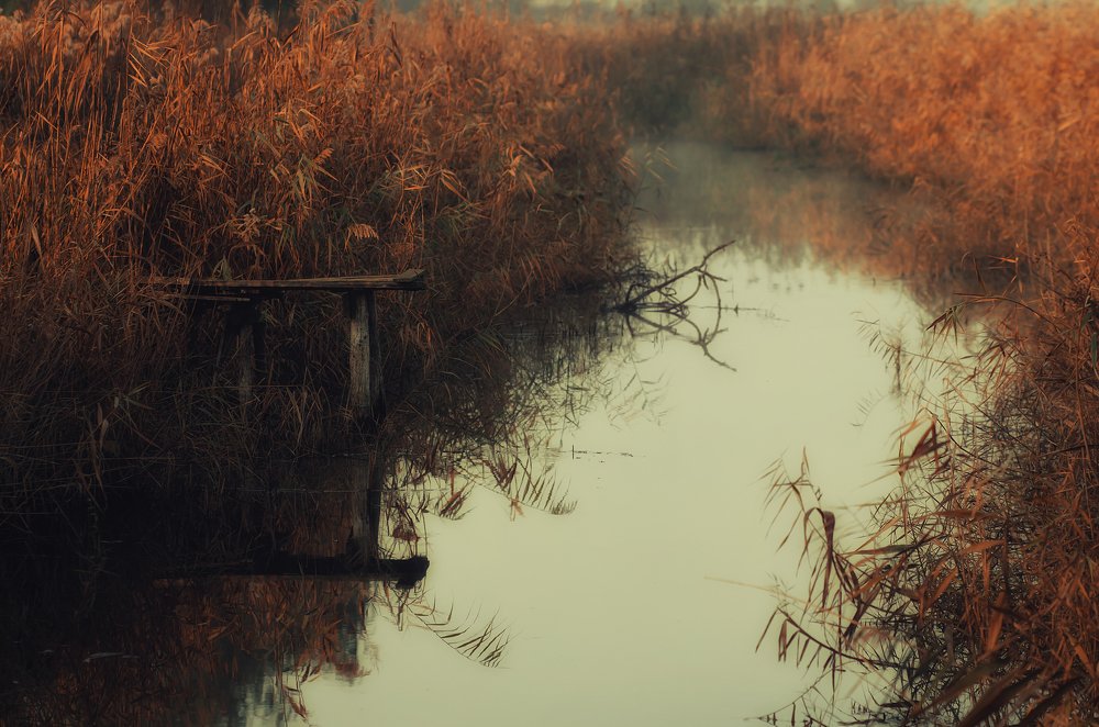 Photograph by Александр Майоров