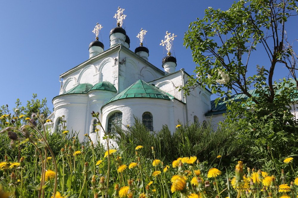 Возрождение...