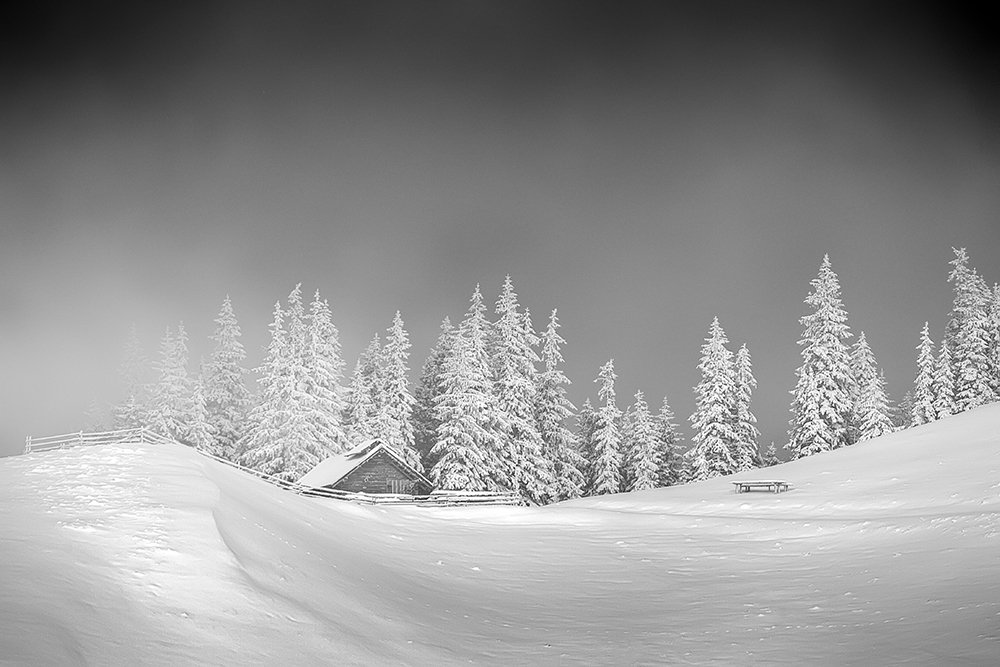 Photograph by Vasile Palaghioi