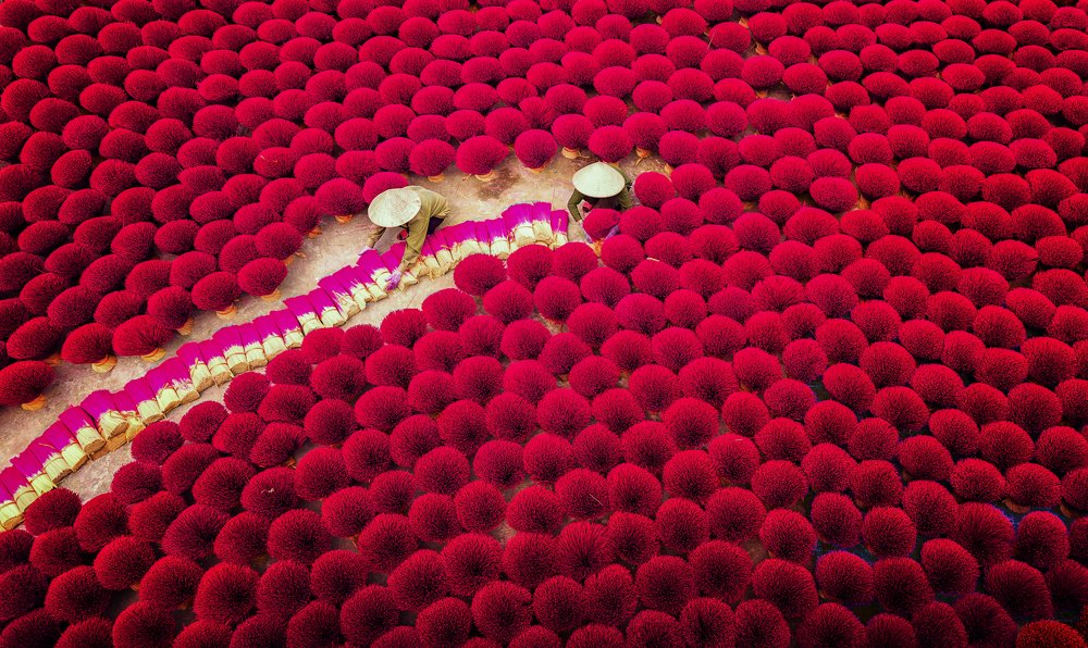 Photograph by Tuấn Nguyễn Tấn