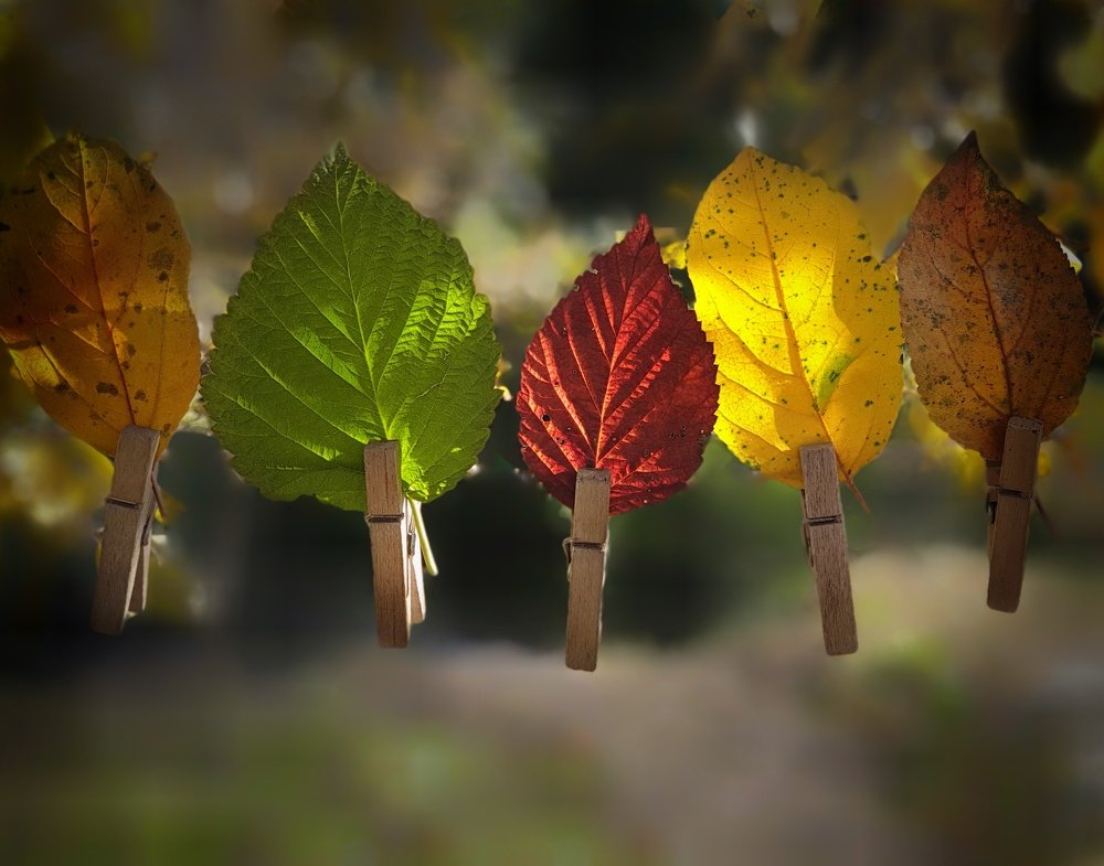 Photograph by Катерина Коханова