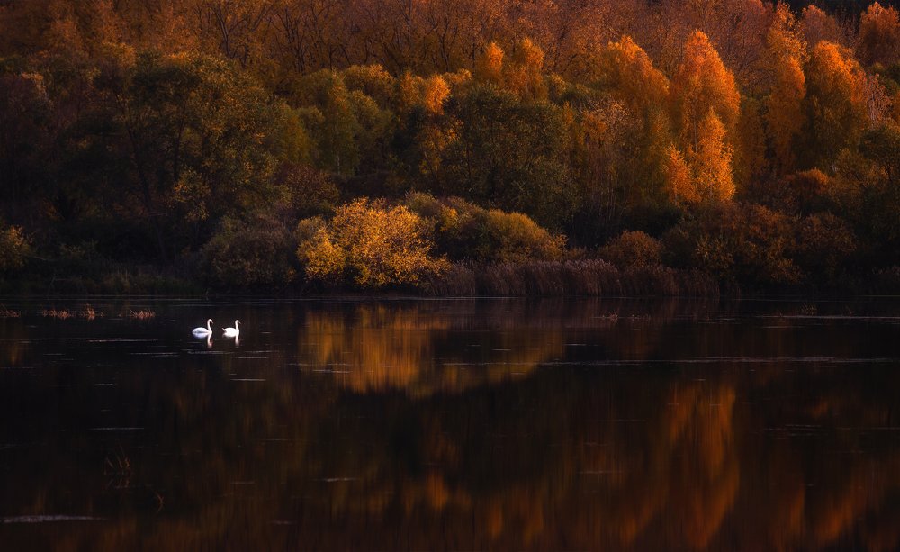 Photograph by Алексей Козаченко
