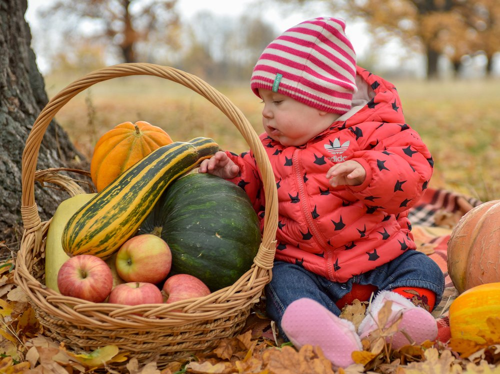 Осенние дары