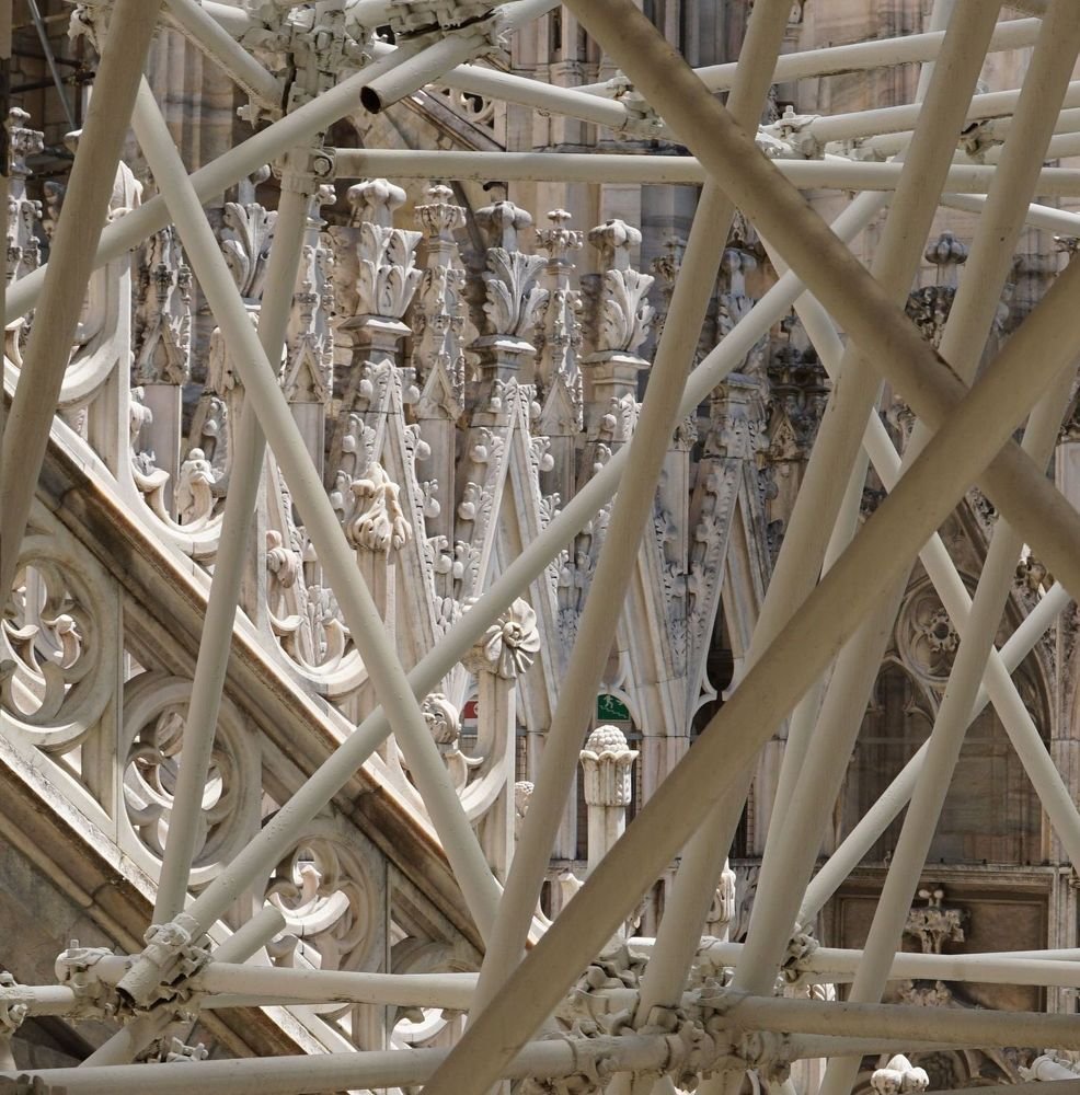 Фотография автора Алина Прищепа