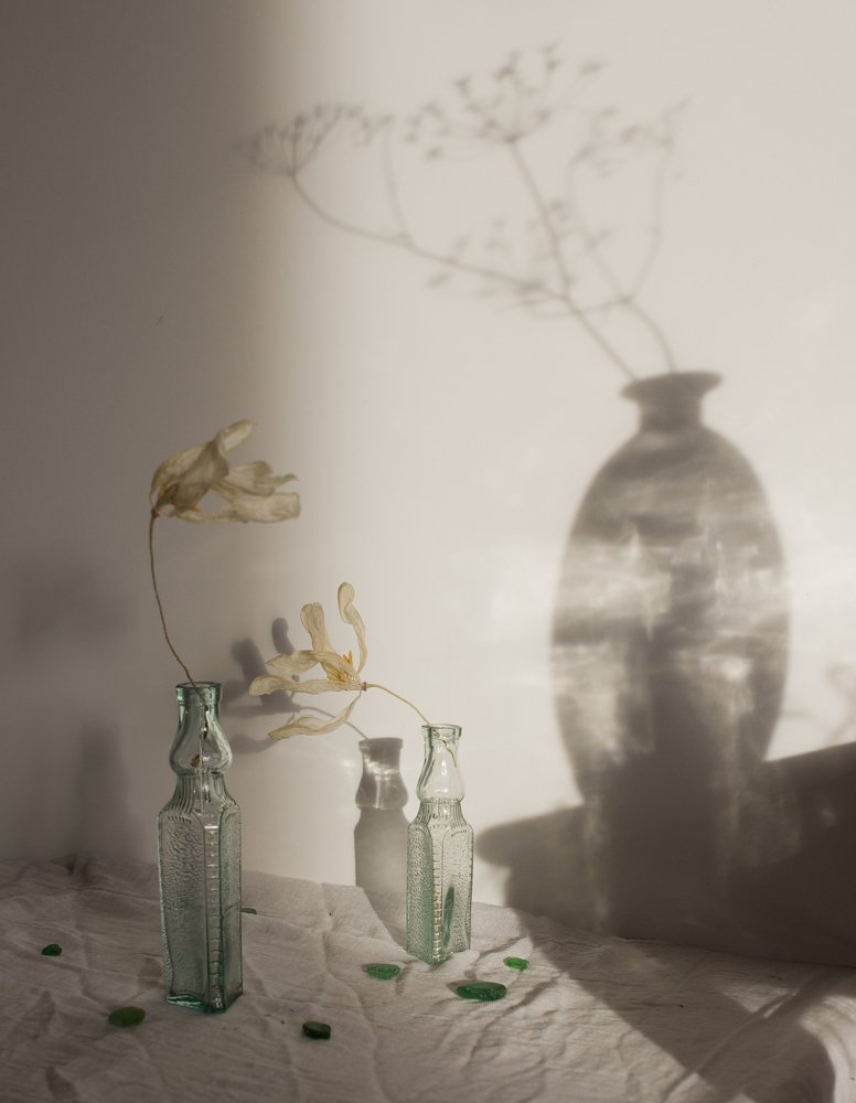 Photograph by Алиса Пономарева