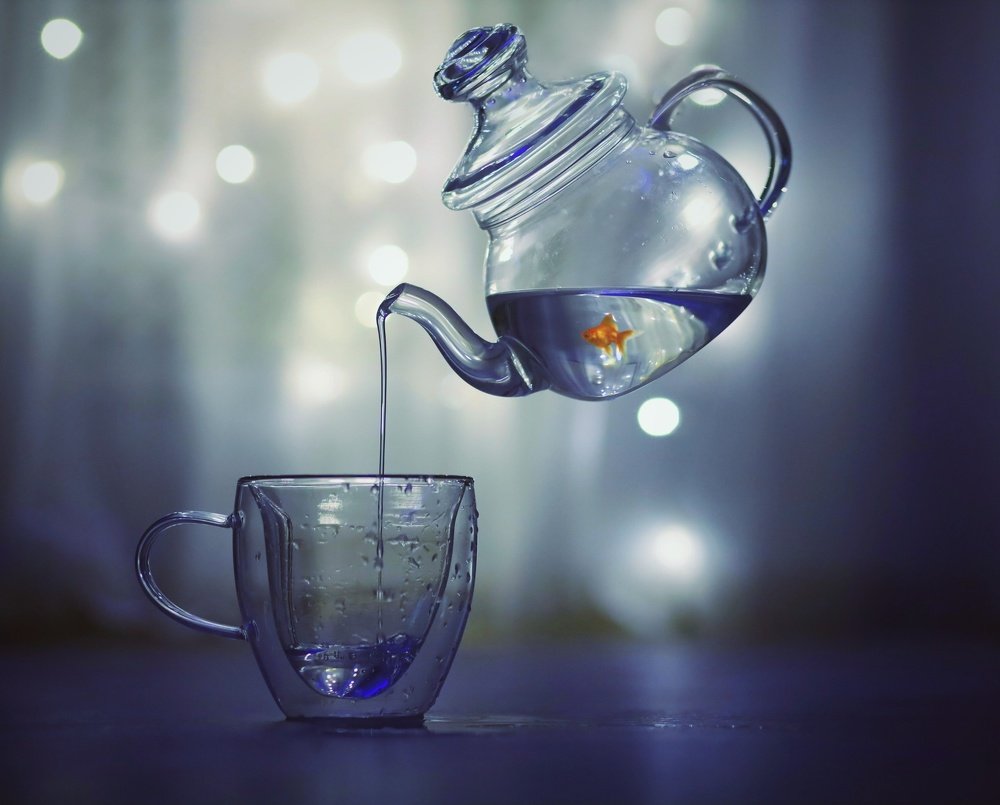 Photograph by Катерина Коханова