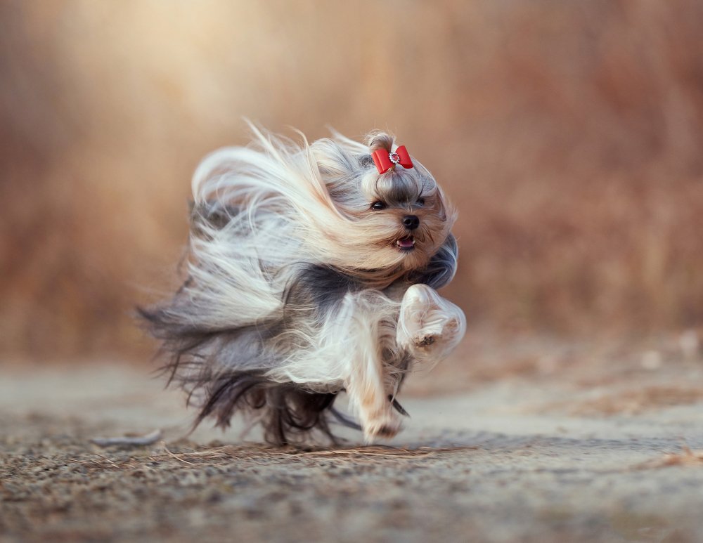 Photograph by Лариса Кадина