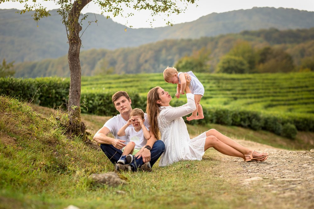 Чайные плантации в Сочи