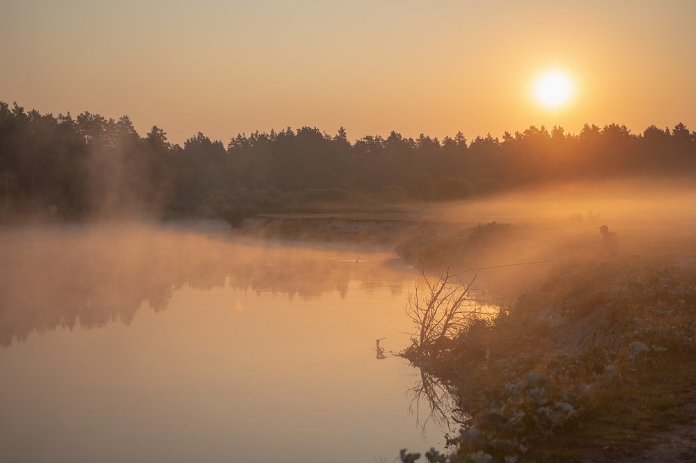 Туманное утро