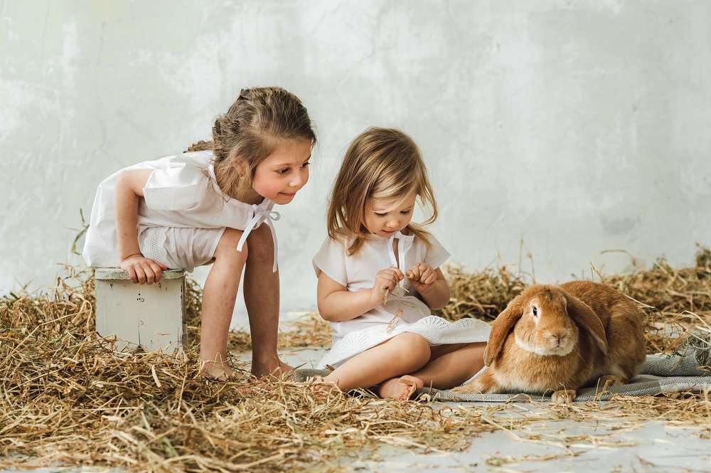 Что за зверь?