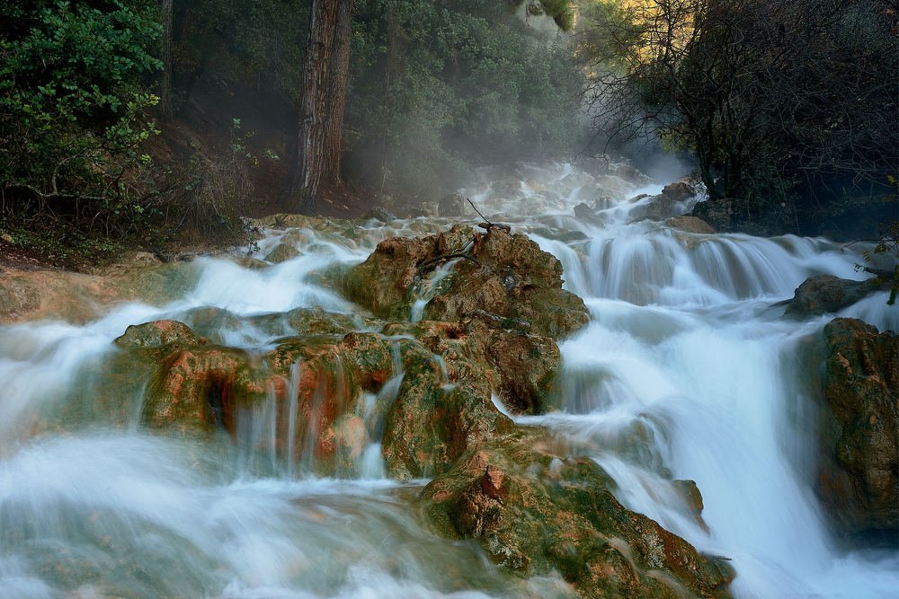 Photograph by Alexander Leshinsky