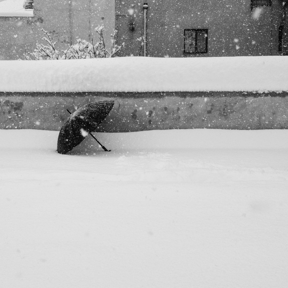 Photograph by Fereydoon ranjkesh