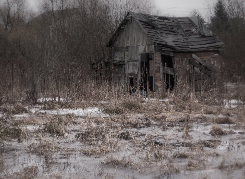 Photo #4310015