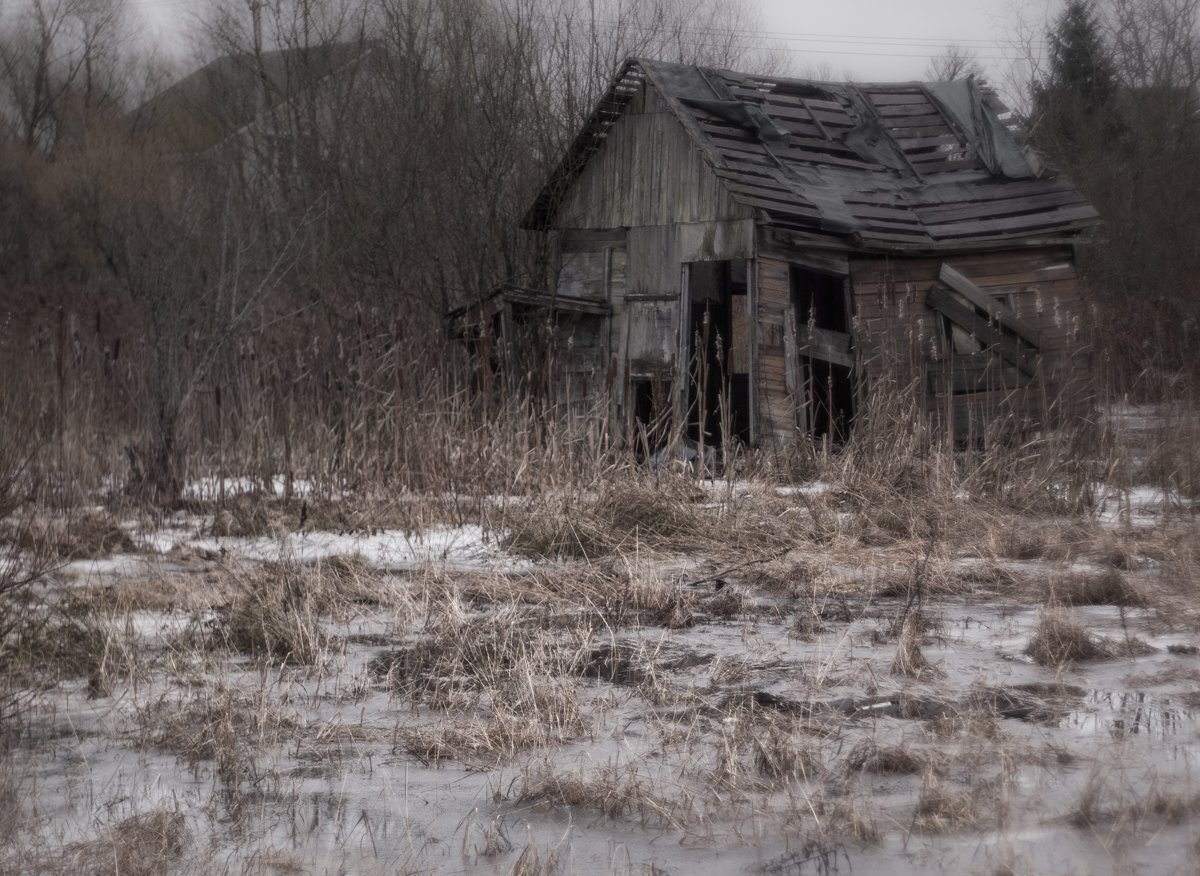 Photo #4310015
