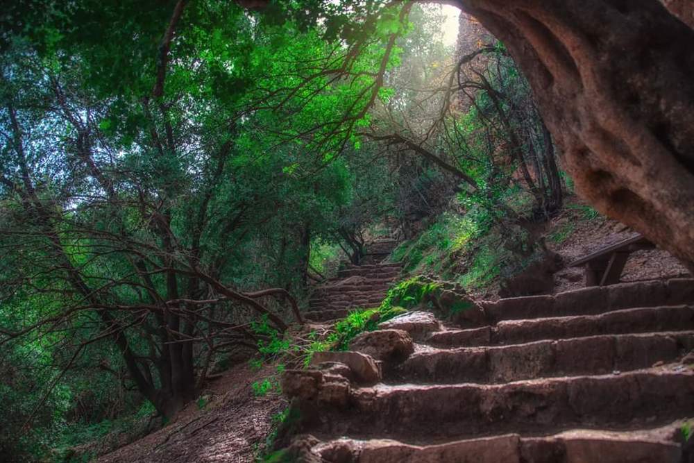 Photograph by Алекс Гейнер