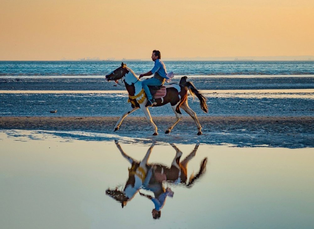 Фотография автора Qmars Khoshsefat