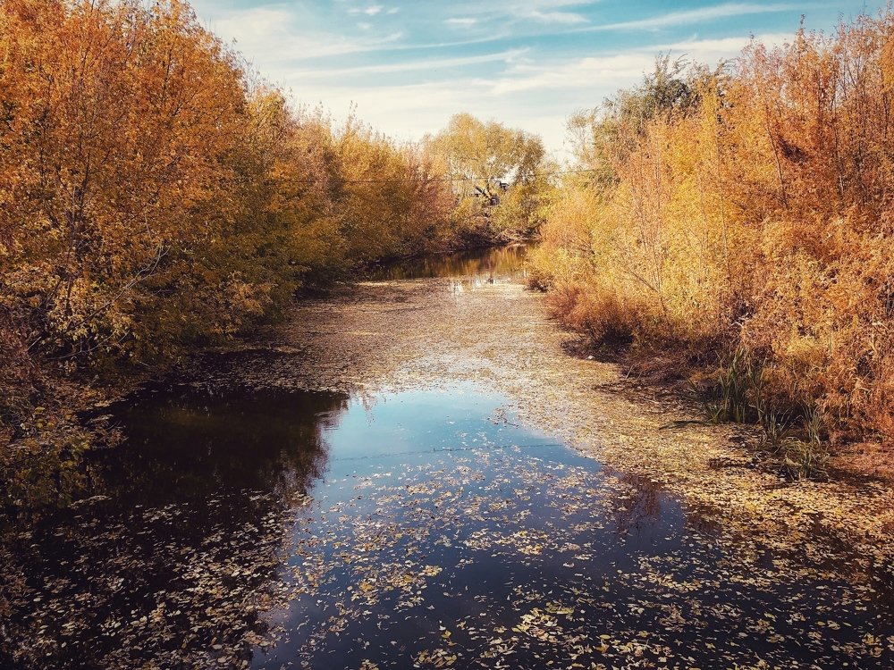 Photograph by Юлия Зубова