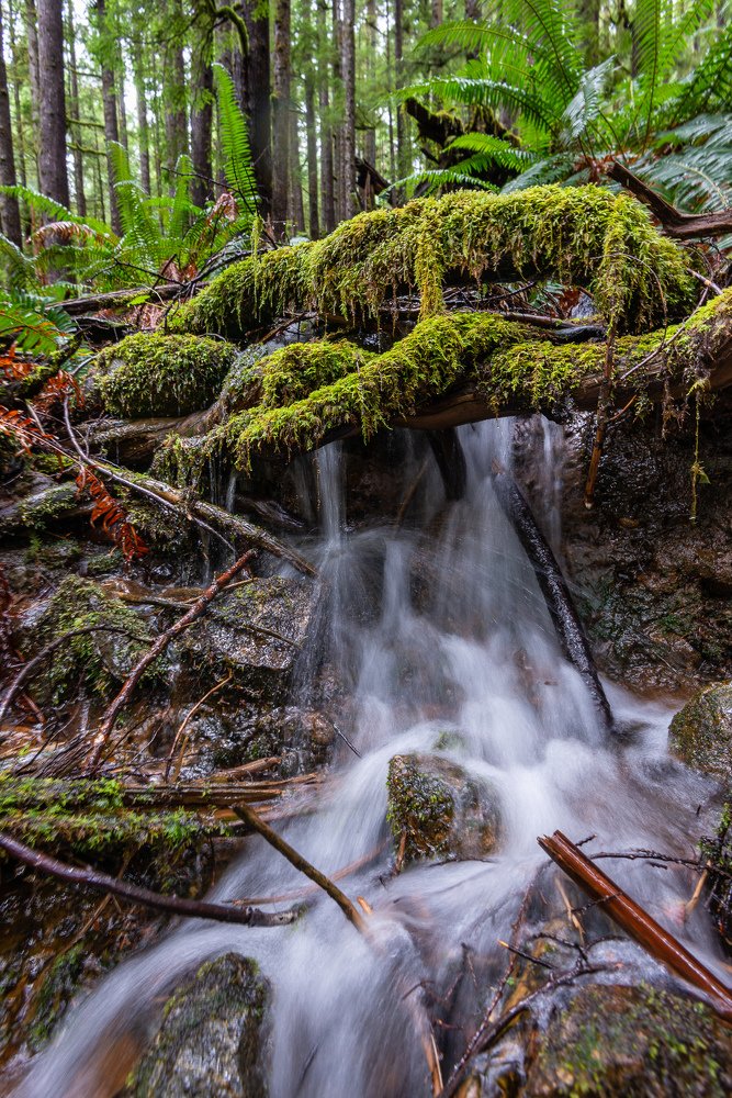 Photograph by Сергей Пестерев