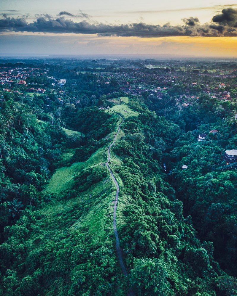 Фотография автора Tony Ivanz