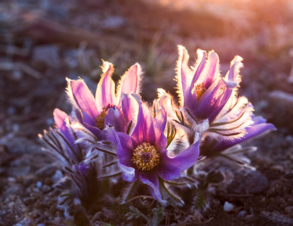 С добрым утром!