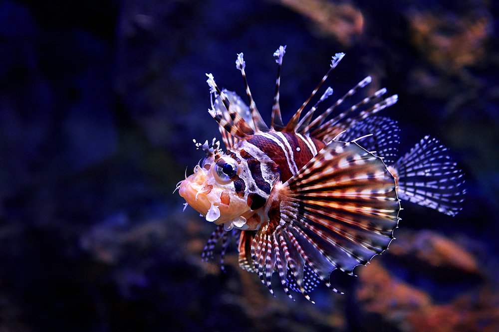 Photograph by Павел