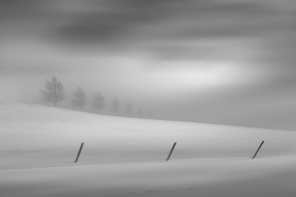 Photograph by Amirhossein Naghian