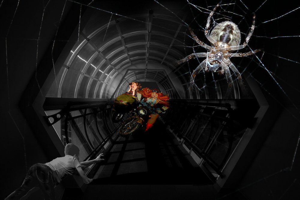 Капкан или ловушка?