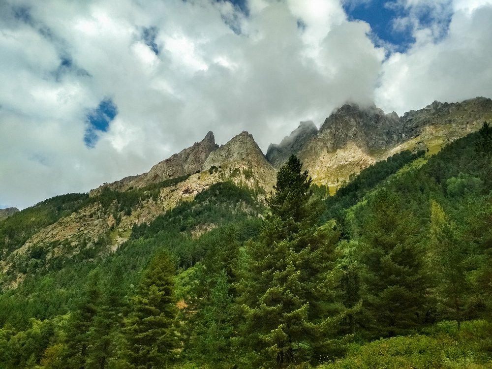 Графики и диаграммы.