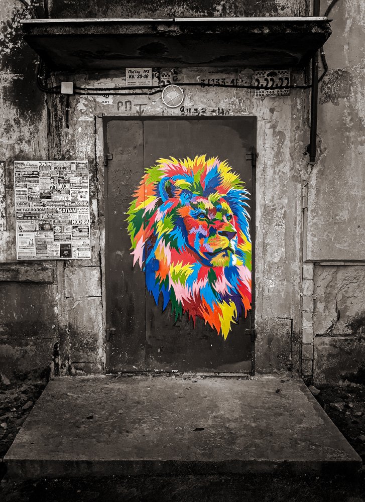 Photograph by Alexander Plaksin