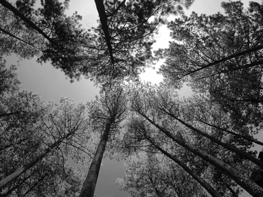 Photograph by Álvaro Luna Castillejos