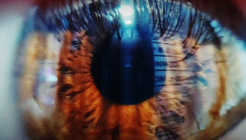 Photograph by ITTO