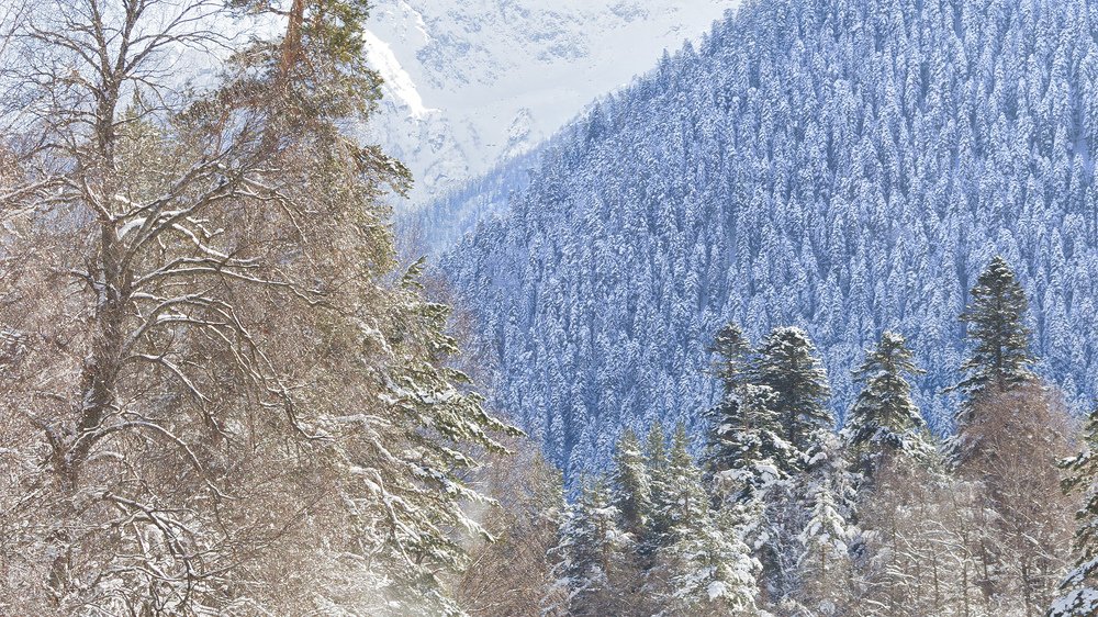 Photograph by Андрей Бычков