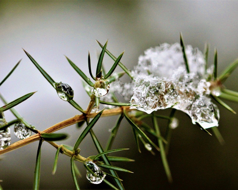 Photograph by александр лялин