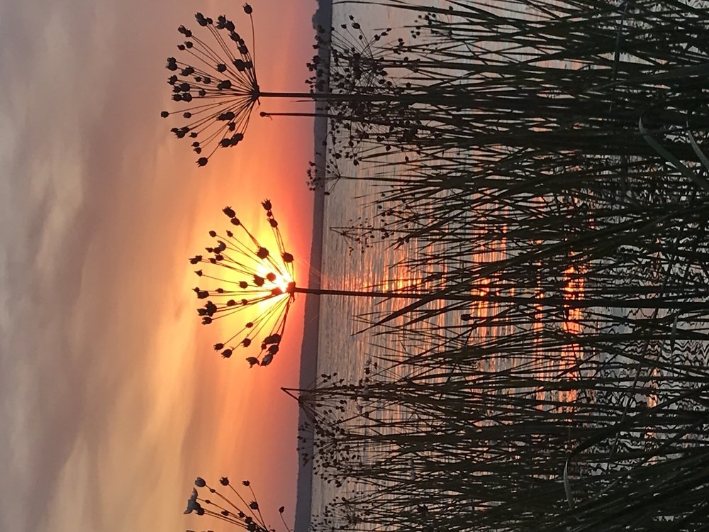 Photograph by ЛАРИСА БОГДАНОВА