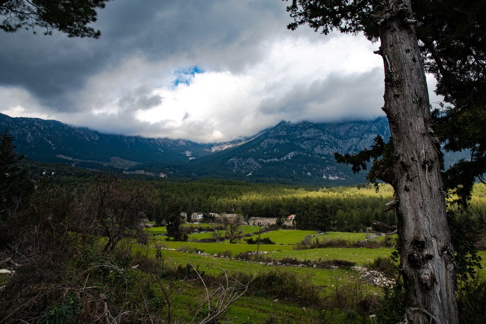 Photograph by Katerına bınetska