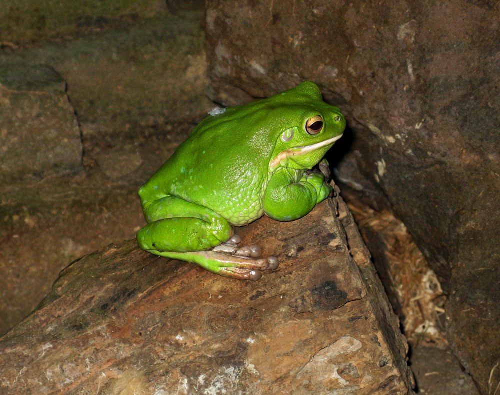 Photo #4310943
