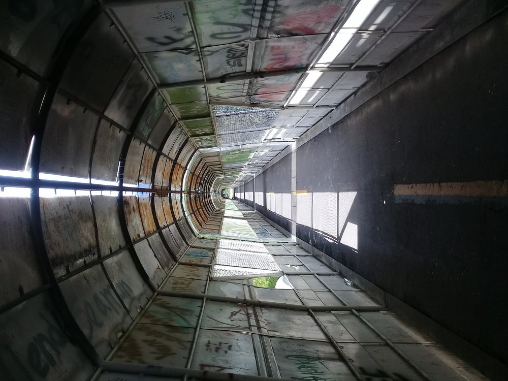 Photo #4310966