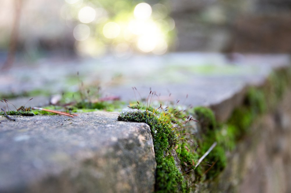 Photograph by Katerına bınetska
