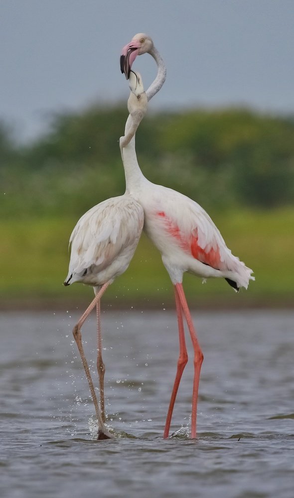 Photograph by Ranjeet Shelke