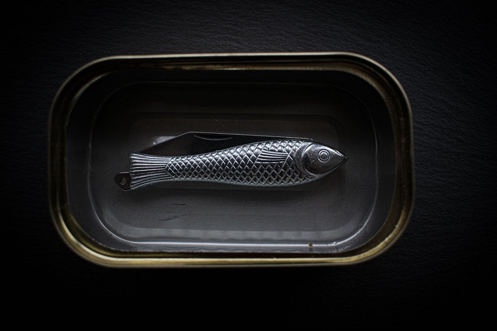 Photograph by Lucie Haken