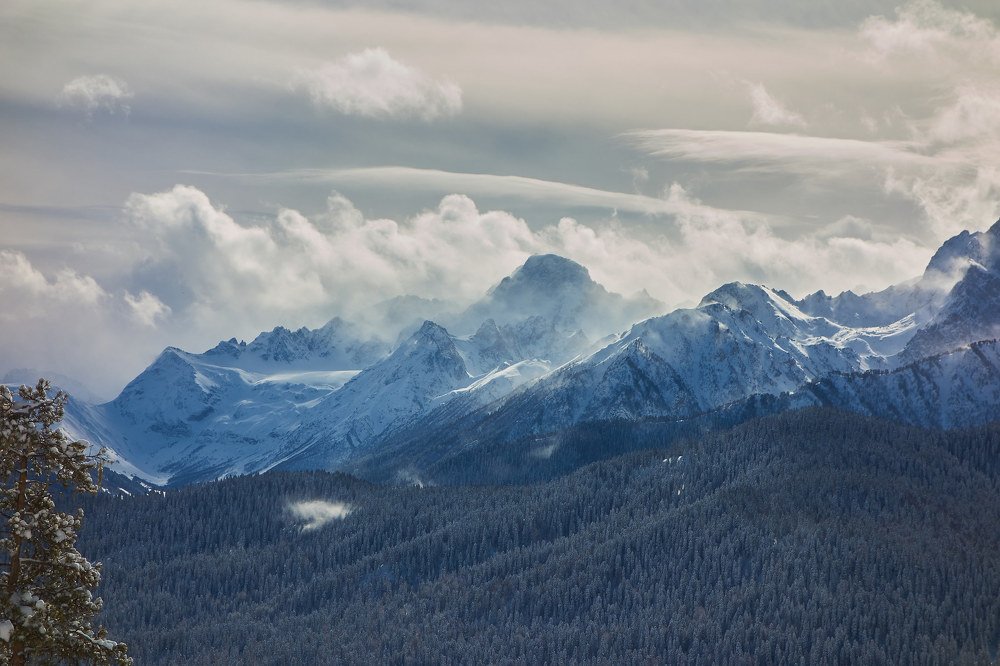 Photograph by Алексей Приешкин